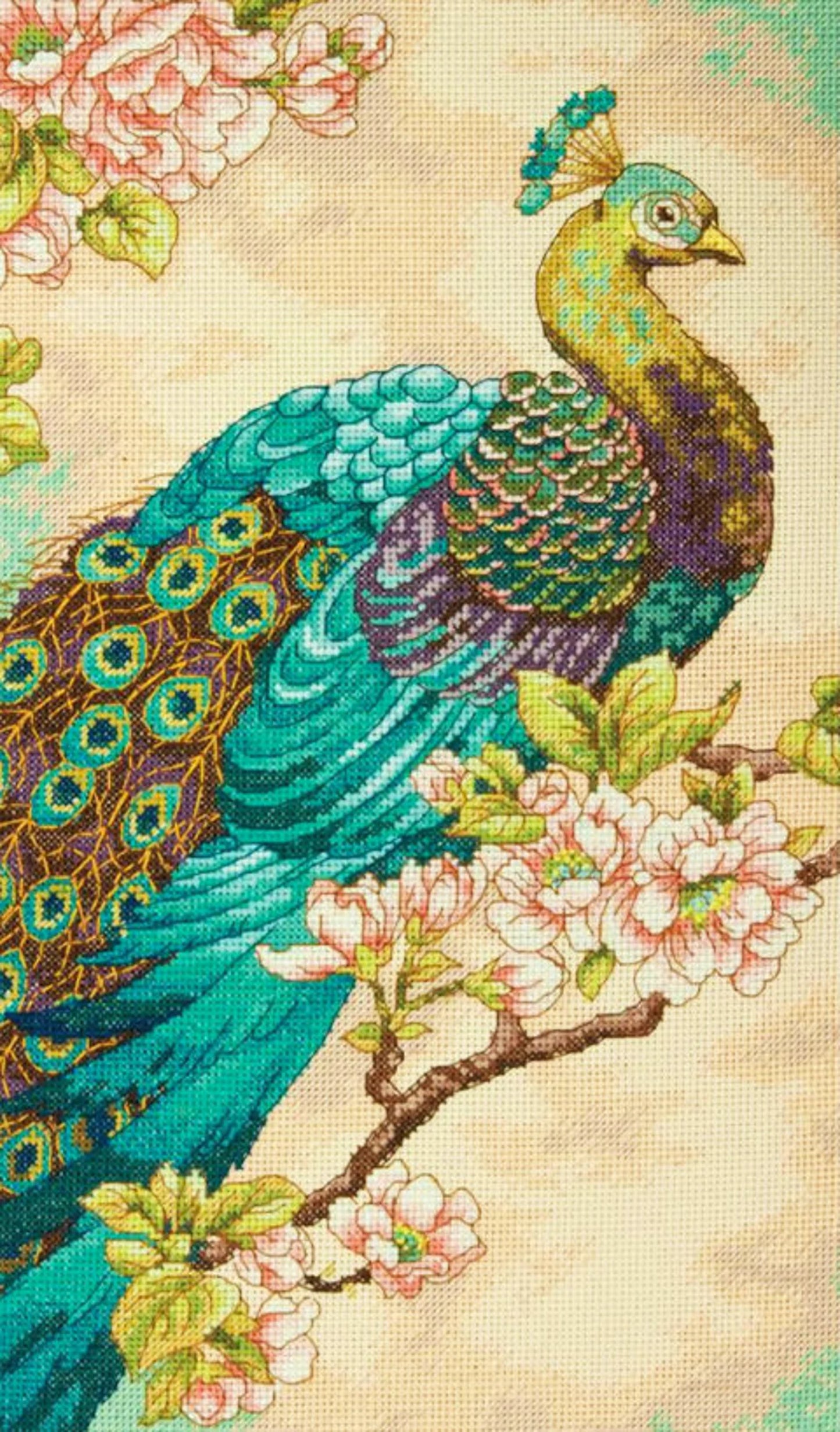 Indian Peacock Cross Stitch Pattern
