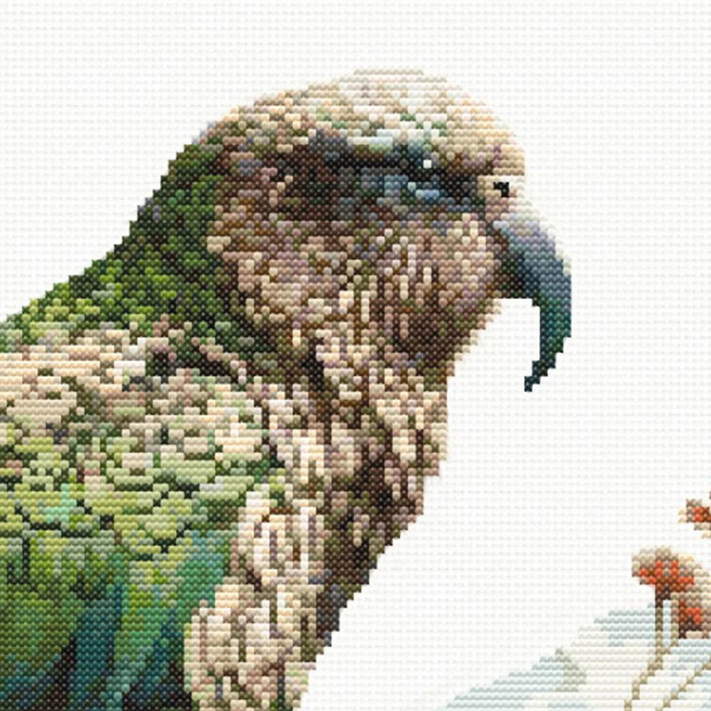 New Zealand Kea Cross Stitch Pattern. Native New Zealand Bird Cross-Stitch Pattern in watercolor tones. Digital PDF Download