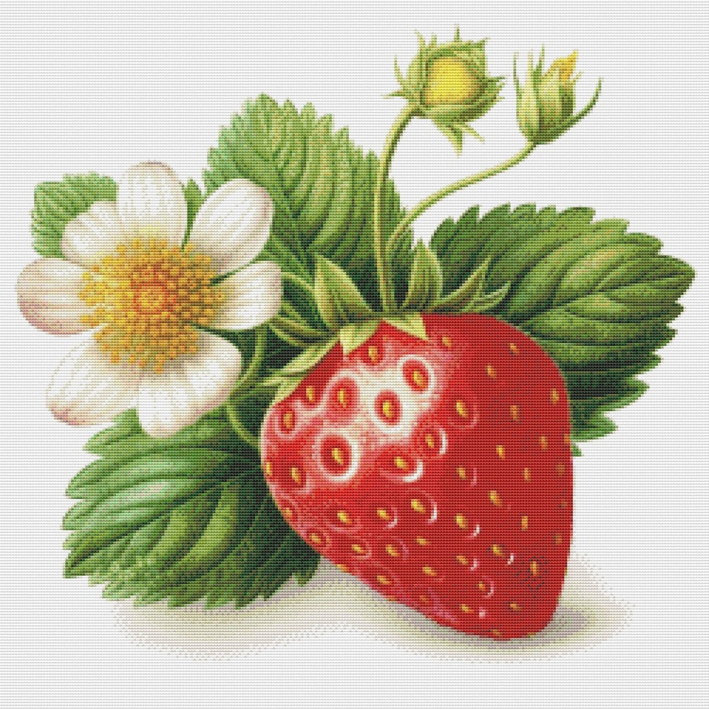 Strawberry Cross Stitch Pattern Kitchen Still Life Modern Decor Pattern Needlepoint chart Summer Berries White Flower Branch Green Leaves