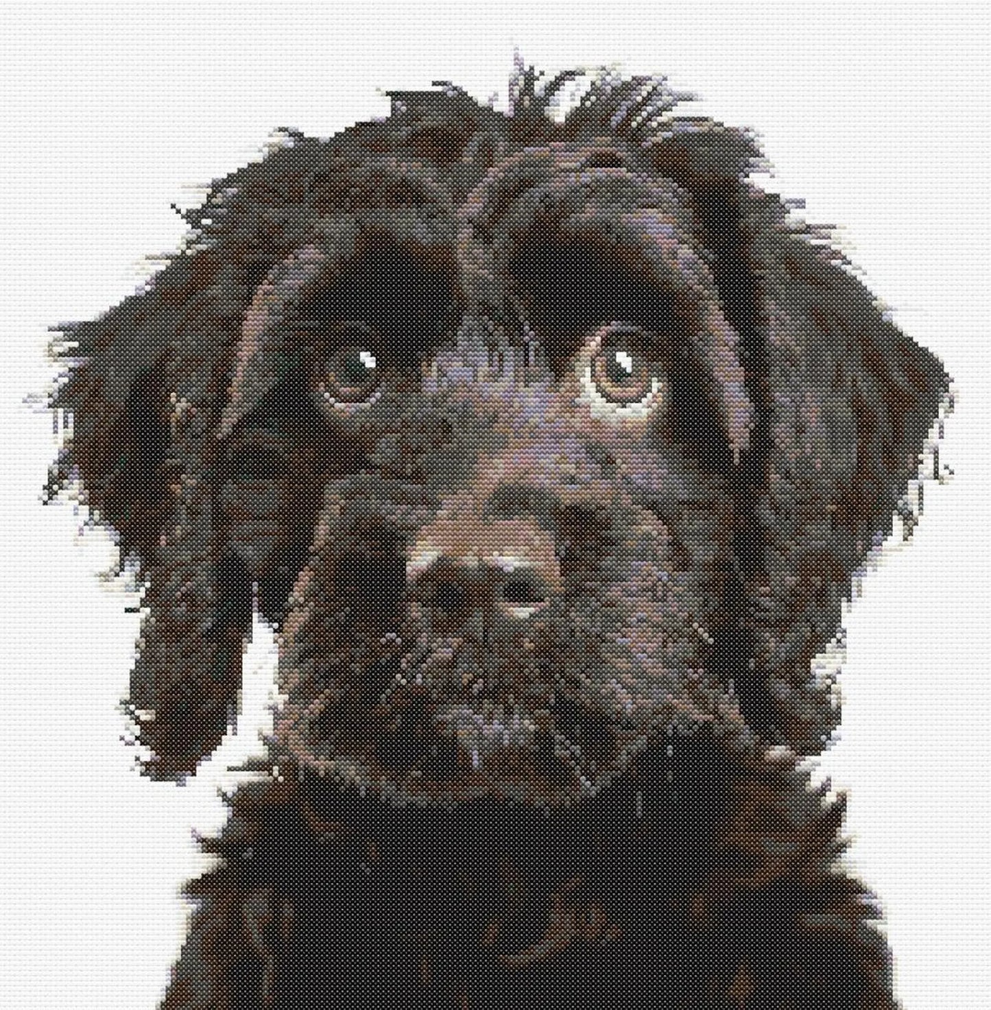 Cockerpoo B Dog Cross Stitch Pattern Sewing Embroidery DMC Wildlife Africa Australia Nursery Artwork Scandi Doggo Minimal Dog Pet Gift